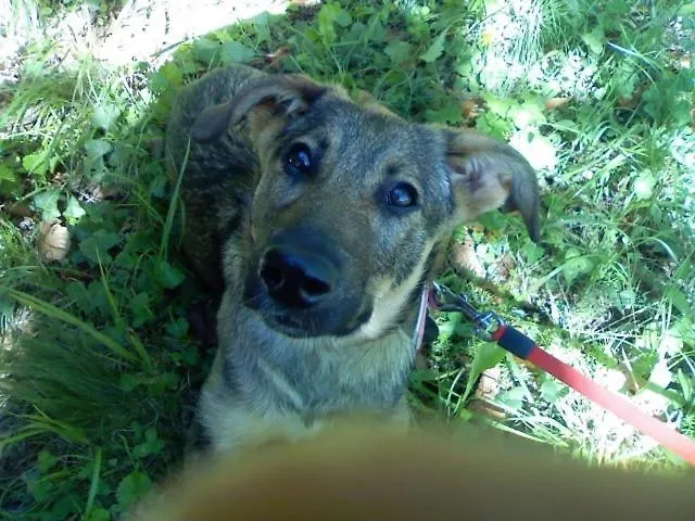 Πανσιόν Le Meridiane 3*